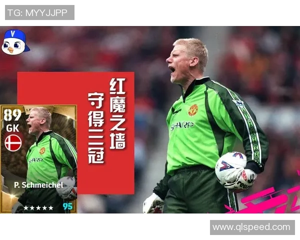 桑维切足球明星的辉煌历程与传奇瞬间解析